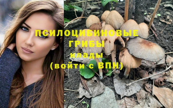 дмт Бронницы