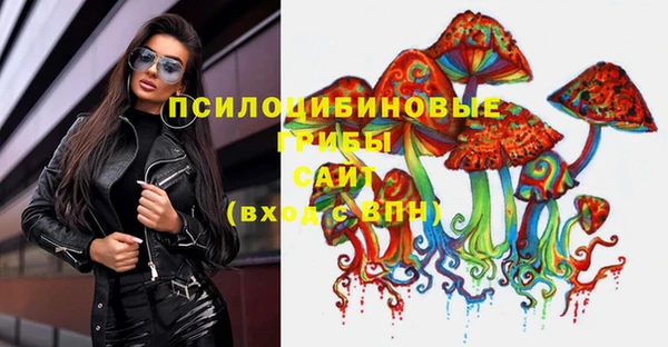 дмт Бронницы